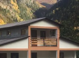 Guest House Victor