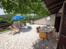 Apartment in Ledenice, Novi Vinodolski 40868