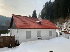 Detached holiday home with fenced garden, hotel que accepta animals a Schmiedefeld am Rennsteig