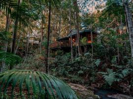 Narrows Escape Rainforest Retreat, cabin in Montville