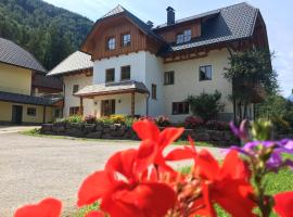 Ferienhof Rinnergut, hotel near Panoramalift, Hinterstoder