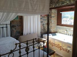 AgroSpito Traditional Guest House, hotel en Agros