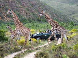 Gondwana Game Reserve, hotel v destinaci Kleinberg