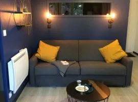 Appartement Alpin à 200m des pistes pour 6