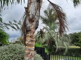 Tui Glade Bed and Breakfast
