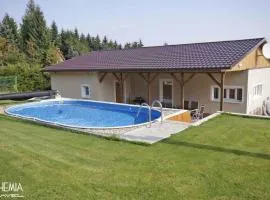 Holiday home in Svahova - Erzgebirge 1640