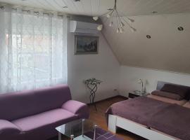 Nettes 2- Zimmer Apartment, hotel cu parcare din Sehnde