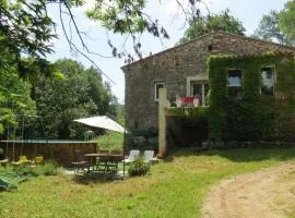 Les châtaigniers du Thaurac