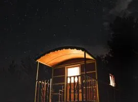 La Carriole dans le jardin