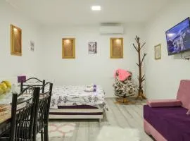 Studio Apartments KIM - Dilberovic