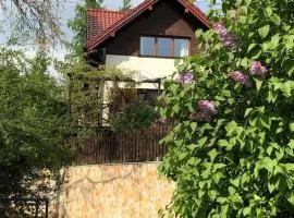 Leśna 6 - House with a garden