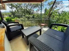 Monteverde Cecropia Paradise