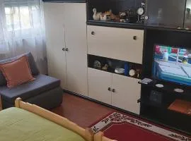 Apartman Ljubica