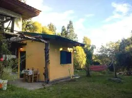 "Cafuné" Departamento