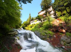 Yama no Yado Meiji Onsen, hotell i nærheten av Oshaga (vann) i Chino