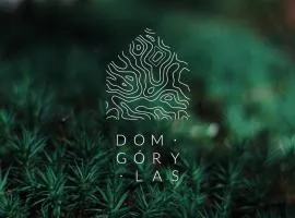 DOM GÓRY LAS - kameralny pensjonat w centrum Karpacza dla gości dorosłych od 13 roku życia, zapytaj o późne wymeldowanie do 18