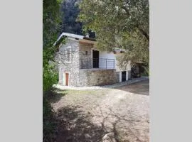 Casa al Fiume, fantastic rustic in nature Citra 00801-LT-0011