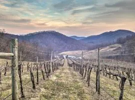 Spacious Faber Home with Yard, Steps to Winery!