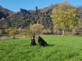 Ferienhaus Leopold mit Burgblick an der Mosel