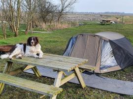 Basic 2p tent Sotterum, glamping site in Cornwerd