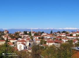 GUEST HOUSE DAVID, hotel in Sighnaghi