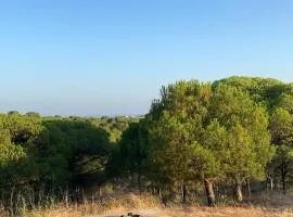 Finca Rústica Los Borrachos