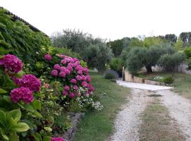 L'Olivette, cheap hotel in Montfrin