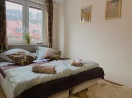 Swish Apartment -10 Min to Old Town Gdańsk,PKP & Shopping Mall