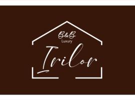 Irilor Luxury B&B, готель-люкс у місті Валледорія