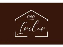 Irilor Luxury B&B
