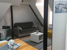 Appartement de charme rue du Château