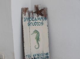Hippocampus Studios 2' walk from the sea, hotel di Moutsouna Naxos