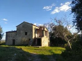 Quiete