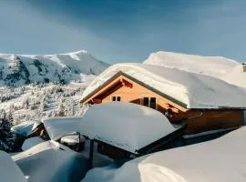 Heidi Chalets Falkert Heidialm - Chalets Bergwinter