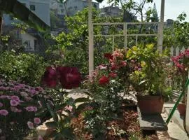Nhà của Sóc