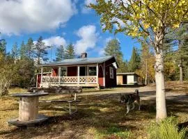Wilderness and Calmness in Lapland