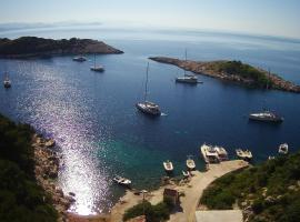 Villa Franić, Hotel in Saplunara