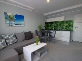 Apartament U Bosmana