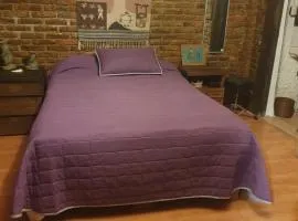 Cerca del Colmex, Flacso y U Pedagogica