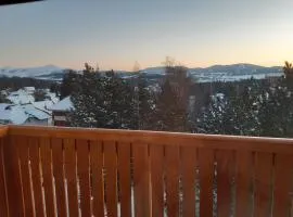 Apartman TAMARIS - parking&spectacular mountain view