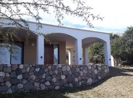 ASM CASA III