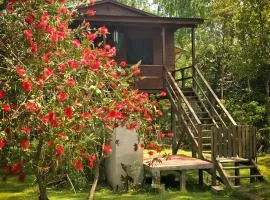 Cabaña en Isla del Delta de Tigre - LA CALMA