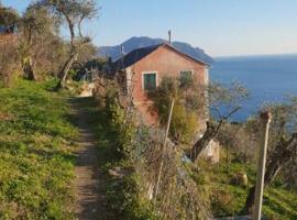 Pace tra gli ulivi e il mare, rumah liburan di Sori