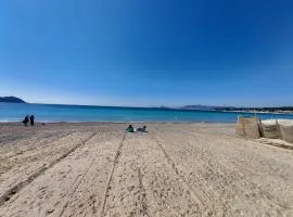 T3 au bord de mer
