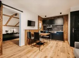 Gorgeous Apartment In Wagrain With Wifi