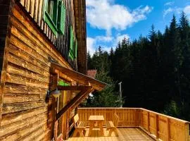 Zirbitz Hütte am Waldrand - Sauna, Kamin, Feuerstelle, Ausblick