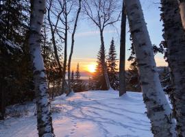 松树下度假屋，位于Les Éboulements的木屋