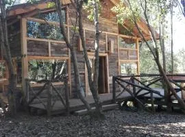 Wonderful rustic cabin, with native trees, with Rio Trancura, equipped