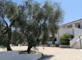 Case vacanze Villa Elisa