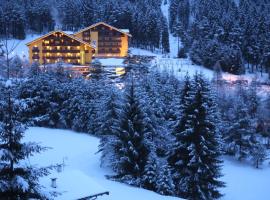 Hotel Shandranj, hotel in Tesero